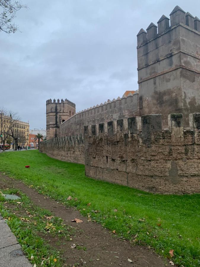 セビリアPiso Muralla Macarenaアパートメント エクステリア 写真